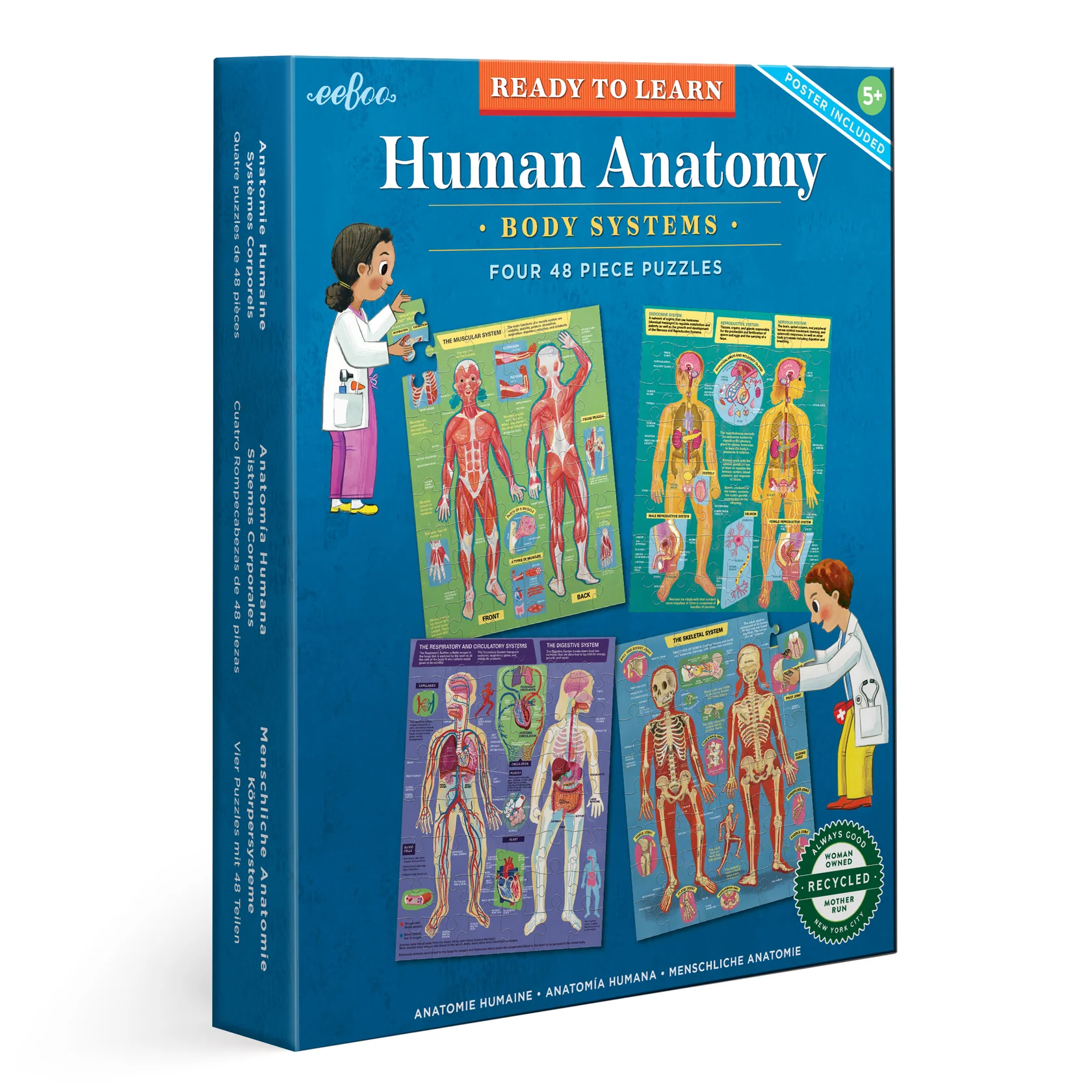 Human Anatomy - Four 48 Piece Puzzles eeBoo